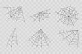 Hand drawn spider web or Halloween cobweb. Royalty Free Stock Photo