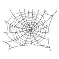 Hand drawn spider web illustration