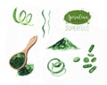 Hand drawn spirulina seaweed powder. Isolated Spirulina algae, pills, capsules and powder drawing on white background Royalty Free Stock Photo