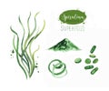 Hand drawn spirulina seaweed powder. Isolated Spirulina algae, pills, capsules and powder drawing on white background