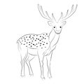 Hand Drawn Spotted Reindeer. Sketch Cute Deer on White