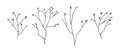 Hand drawn spring branches with tree buds set. Sketch style vector illustration. Black isolated botanical design elements on white Royalty Free Stock Photo