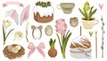 Hand-drawn spring Easter illustrations of Easter cakes and dyed eggs, pussy willow and crocus flower and bulb, hyacinth, bird nest Royalty Free Stock Photo