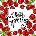 Hand drawn spring floral banner. Colored tulip. Welcome spring. Hand drawn illustration.