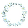 Hand drawn spring wreath with camomile flowers