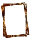 Double gold frame on a white background.