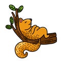 Hand drawn squirrel character