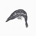 Hand drawn srimp hipster silhouette. Handwritten text. Seafood shop template