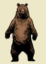 Hand Drawn of Standing Brown Grizzly Bear