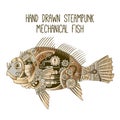 Steampunk mechanical fish. Vector illustration of metal fish with gears, nuts, screws and mechanisms Royalty Free Stock Photo