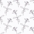 Hand drawn stevia branch outline seamless pattern