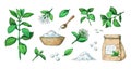 Hand drawn stevia. Healthy sugar alternative plant. Natural leaves extract. Sweet pills and dried stems. Diet product