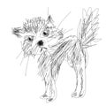 Hand drawn strange cat on white background Royalty Free Stock Photo