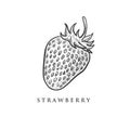 Hand drawn strawberry designs , retor , vintage Royalty Free Stock Photo