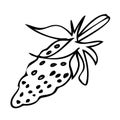 Hand drawn strawberry in freehand retro style. Perfect for stickers, cards, print. Isolated vector illustration