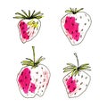 Hand drawn strawberry set. Collection of pink strawberries and green leaves with black doodle stroke isolated on white