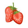 Hand drawn strawberry whole and slice isolated on white background red berry half illustration