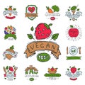 Hand drawn style of bio organic eco healthy food label vegan vegetable illustration vegetarian natural farm sign.