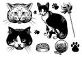 Hand drawn style cat collection Royalty Free Stock Photo