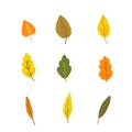 Hand drawn style vector illustration set Hand drawn style vector illustration set of orange, green, yellow fall leaf Royalty Free Stock Photo