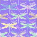 Hand drawn stylized dragonflies seamless pattern for girls, boys, clothes. Creative background with insect. Funny wallpaper for