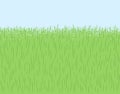 Doodle grass, herb texture, seamless lawn border