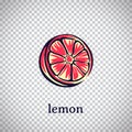 Hand drawn stylized lemon. Vector citrus fruit isolated on transparent background. Graphic illustration for logo or icon