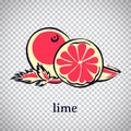 Hand drawn stylized lime. Vector citrus fruit isolated on transparent background. Graphic illustration for logo or icon Royalty Free Stock Photo