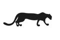 Hand drawn stylized panther Royalty Free Stock Photo