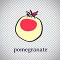 Hand drawn stylized pomegranate. Vector garnet fruit isolated on transparent background. Graphic illustration for logo or icon