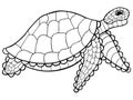 Hand-drawn stylized turtle with zentagl ornament. Reptile animal with shell for coloring book, tattoo, logo. Royalty Free Stock Photo