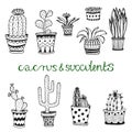 Hand drawn succulent and cactuse set. Doodle