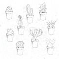 Hand drawn succulent and cactuse set. Doodle florals in pots.