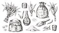 Hand drawn sugarcane and rum. Vintage liquor bottle and glasses, sugar sack and cubes, sugar organic plants. Vector