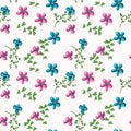 Hand drawn summer floral background. Botanical seamless pattern made of abstract flowers. Sketch drawing. Vintage style Royalty Free Stock Photo