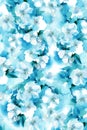 floral pattern Royalty Free Stock Photo