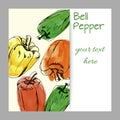Hand drawn sweet bell peppers watercolor, cover design, menus