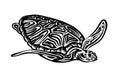 Hand drawn swimming ornate turtle sketch. Vector black ink drawing animal isolated on white background. Graphic illustration