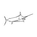 Hand drawn swordfish. Vector illustration in sketch style