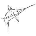 Hand drawn swordfish. Vector illustration in sketch style