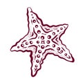 Hand drawn, tattoo stylised starfish. Marine life sketch zentangle design element for summer vacation illustration