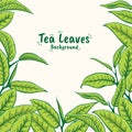 Hand drawn tea leaf illustration