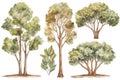 Hand-Drawn Teak Tree Forest Collection .