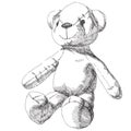 Hand drawn teddy bear