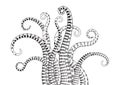 Hand Drawn Tentacle vector Illustrations Royalty Free Stock Photo