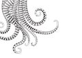 Hand Drawn Tentacle vector Illustrations Royalty Free Stock Photo