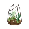 Hand drawn terrarium with succulents and cactuses composition. Stylish decorative mini garden isolated on white Royalty Free Stock Photo