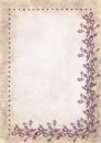 Hand drawn textured floral background.Crumpled paper with rose and leaves. Royalty Free Stock Photo