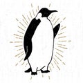 Hand drawn textured icon with emperor penguin vector illustration Royalty Free Stock Photo