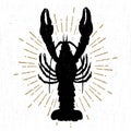 Hand drawn textured icon with lobster vector illustration